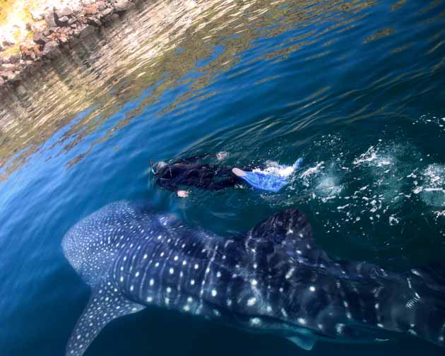 ecotourism in mexico