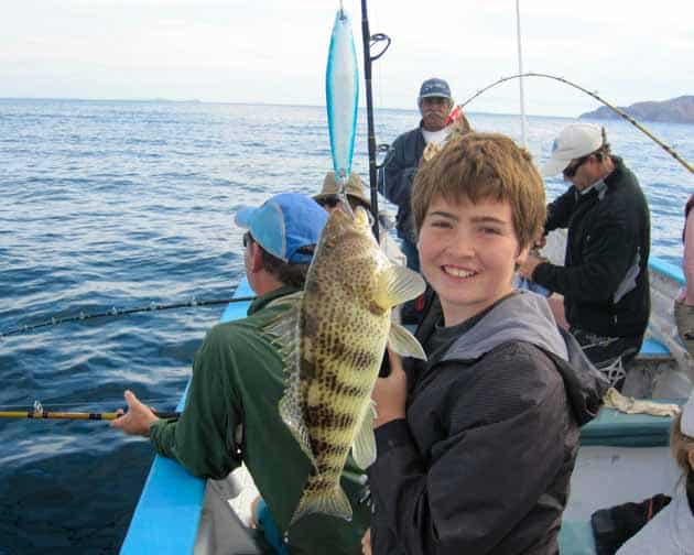 baja whale shark tours