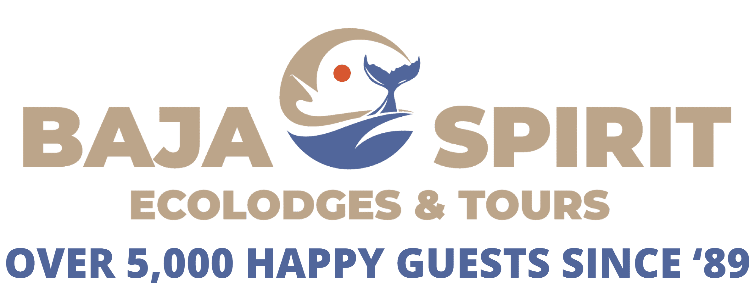 Baja Spirit | Ecolodge and Ecotour Trips