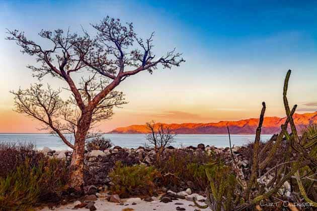 transformational Baja travel experiences Ecotourism Baja California - Sea of Cortez